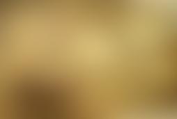 Фотография квеста Великий комбинатор от компании VinQuest (Фото 1)